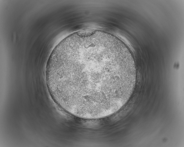 X0000096421047200802211119