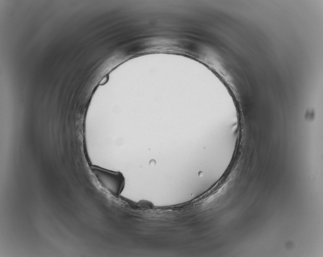 X0000096421049200802211119