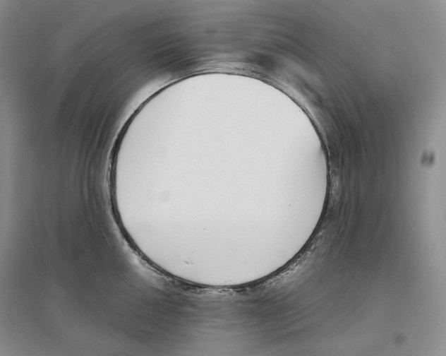 X0000096421050200802211119