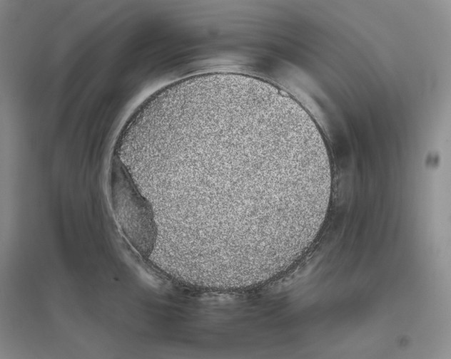 X0000096421051200802211119