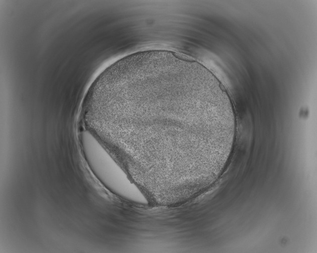 X0000096421052200802211119