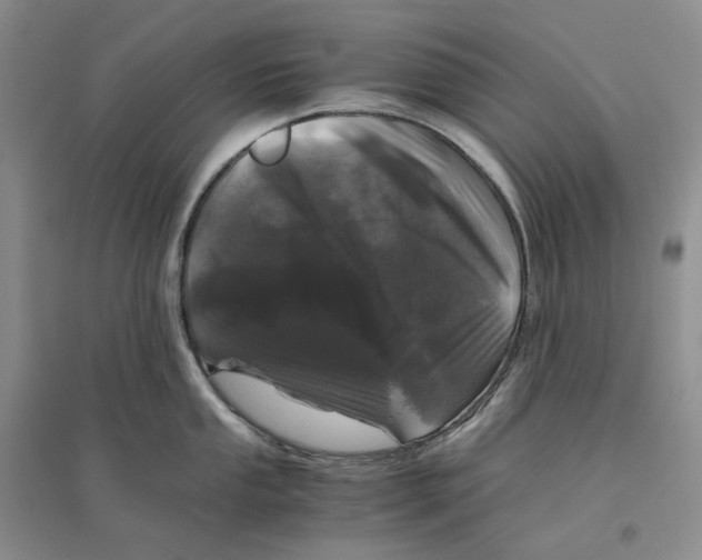 X0000096421053200802211119