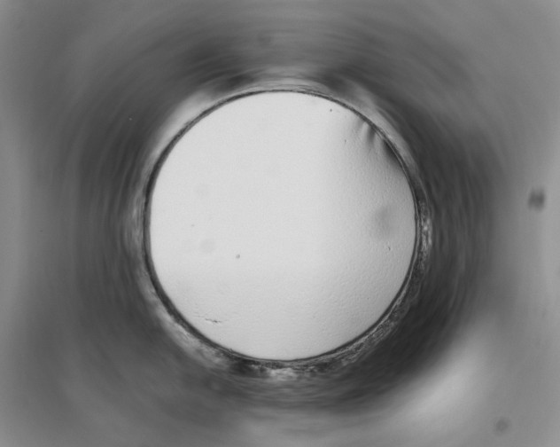 X0000096421054200802211119
