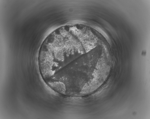 X0000096421055200802211119