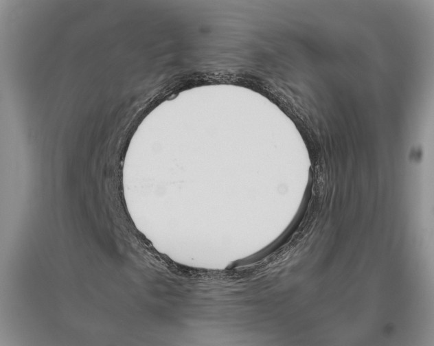 X0000096421057200802211119