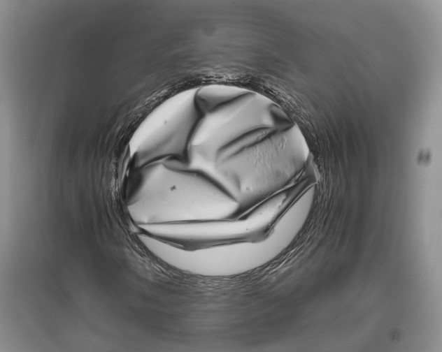 X0000096421058200802211119