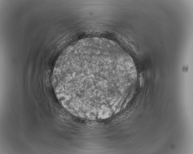 X0000096421059200802211119