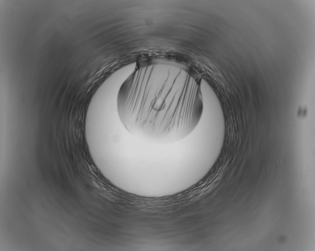 X0000096421060200802211118