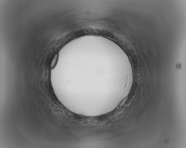 X0000096421061200802211118