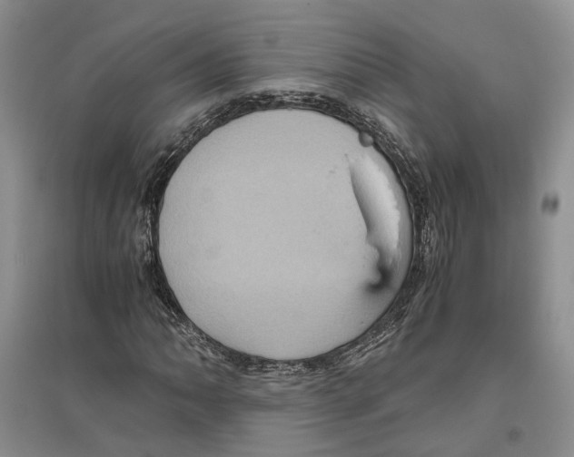 X0000096421062200802211118