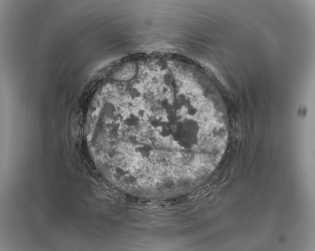 X0000096421063200802211118