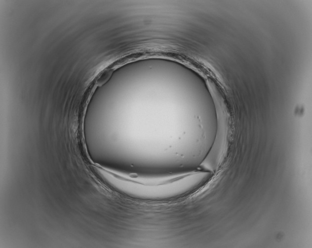 X0000096421065200802211118