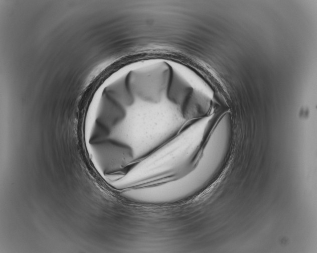 X0000096421066200802211118