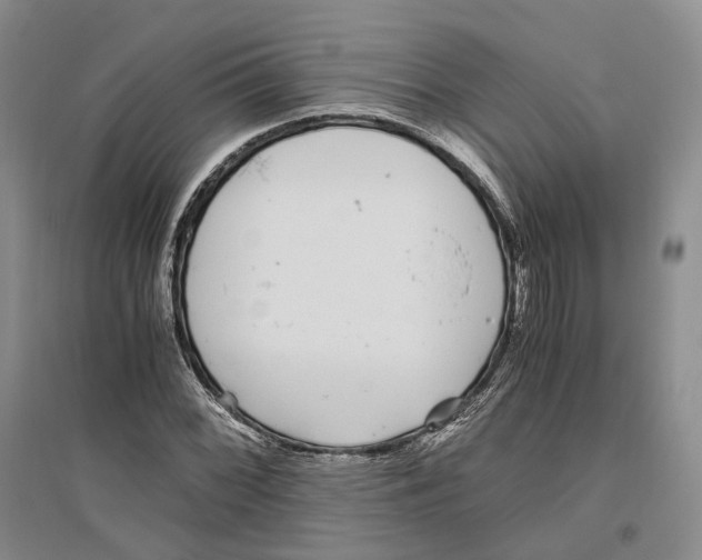 X0000096421068200802211118