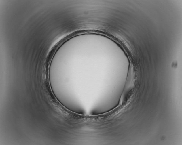 X0000096421069200802211118