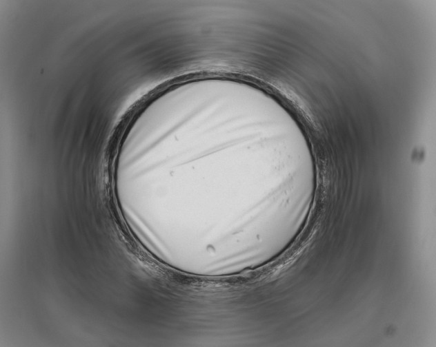 X0000096421070200802211118
