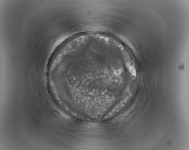 X0000096421071200802211118