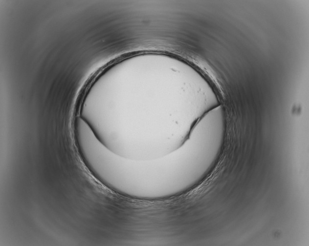 X0000096421072200802211118