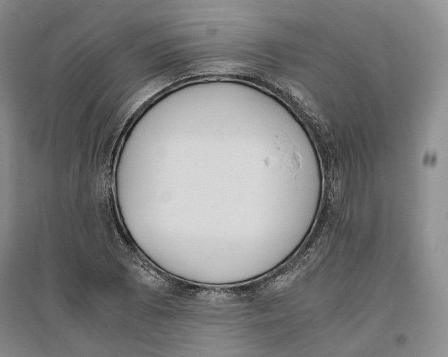 X0000096421073200802211118