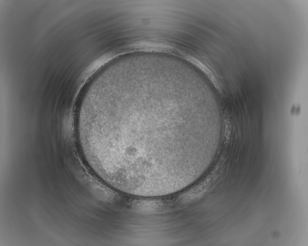 X0000096421074200802211118