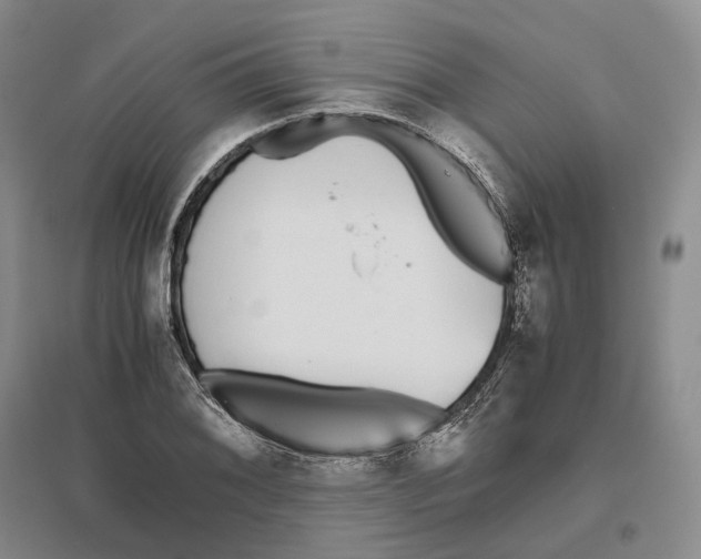 X0000096421076200802211118