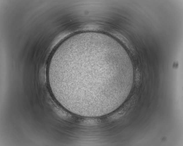 X0000096421078200802211118