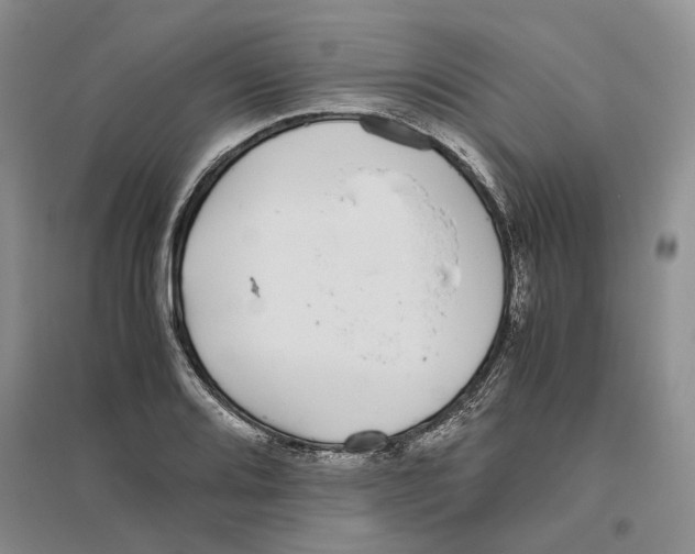 X0000096421080200802211118