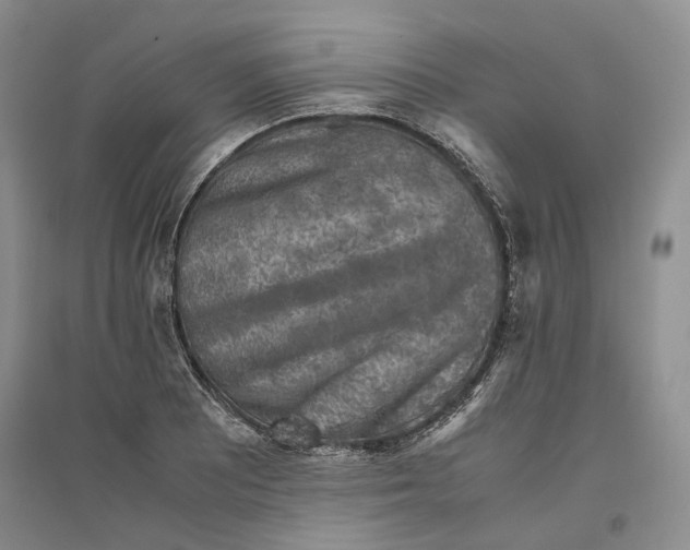 X0000096421081200802211118