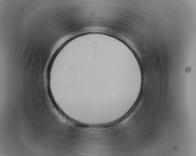 X0000096421082200802211118