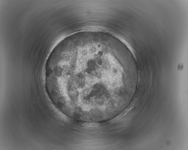 X0000096421083200802211118