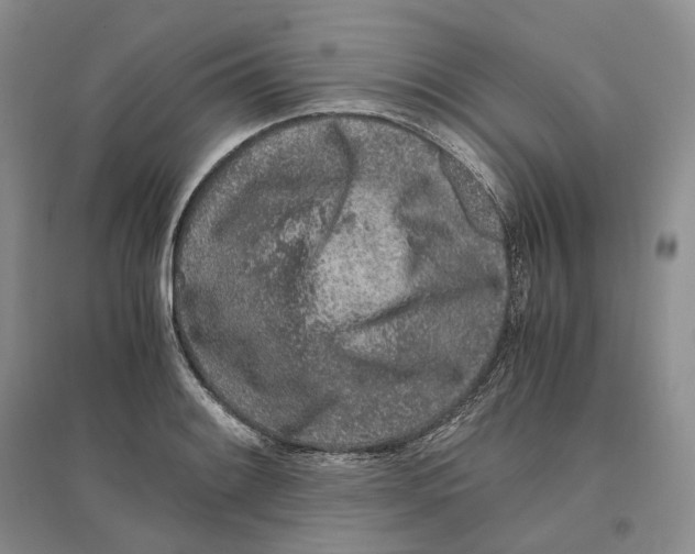 X0000096421084200802211118