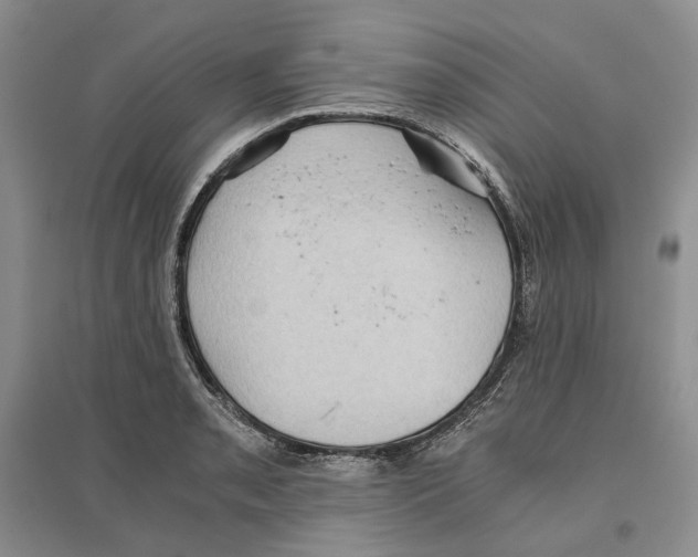 X0000096421085200802211118