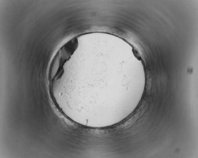 X0000096421088200802211118