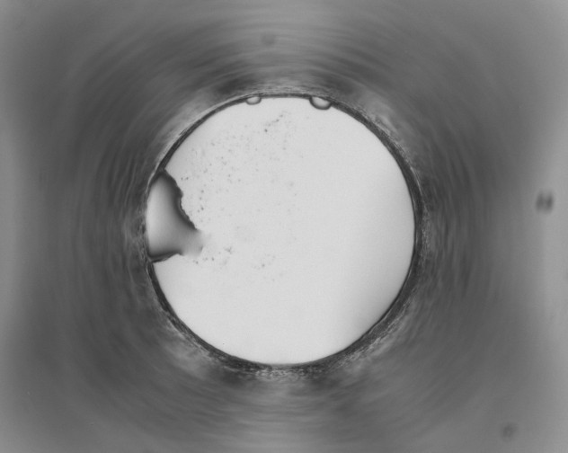 X0000096421089200802211118