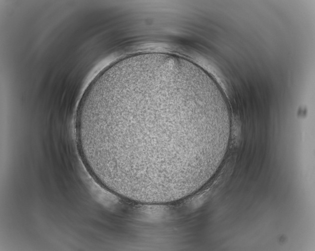 X0000096421090200802211118
