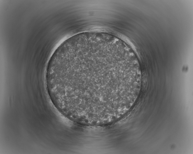 X0000096421091200802211118