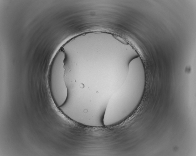 X0000096421092200802211118