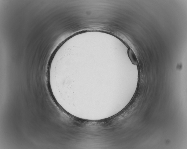 X0000096421093200802211118
