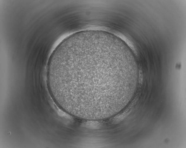 X0000096421094200802211118