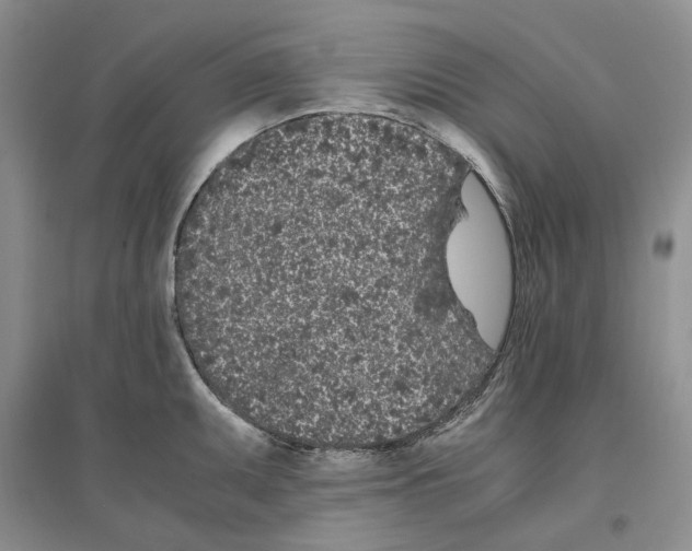 X0000096421095200802211118