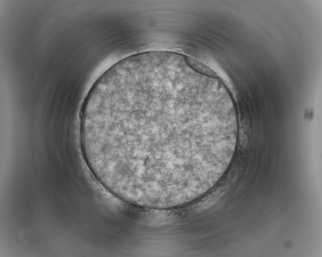X0000096421096200802211118