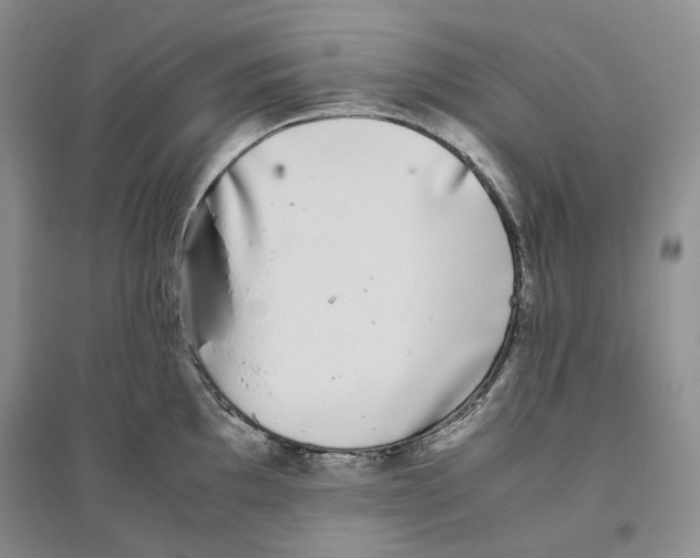 X0000096421097200802211118