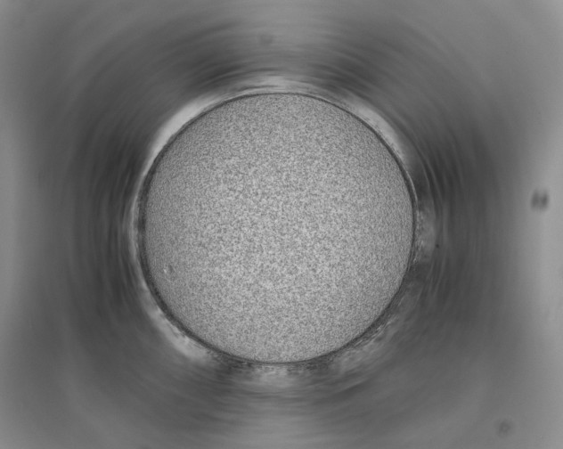 X0000096421098200802211118