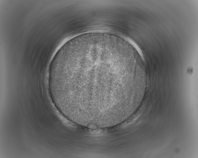 X0000096421099200802211118
