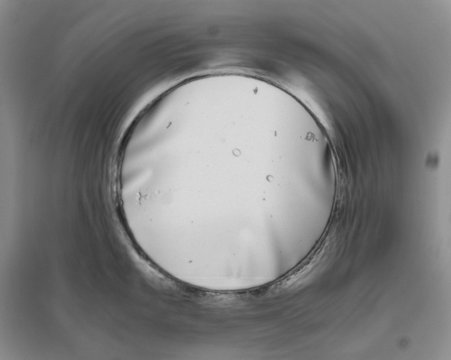 X0000096421101200802211118