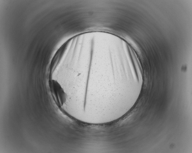 X0000096421102200802211118