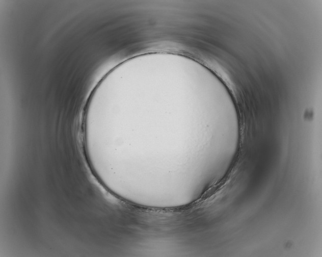 X0000096421103200802211118