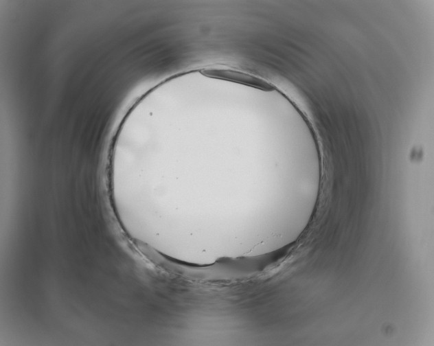 X0000096421104200802211118