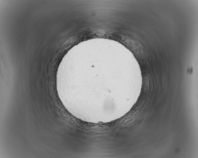 X0000096421105200802211117