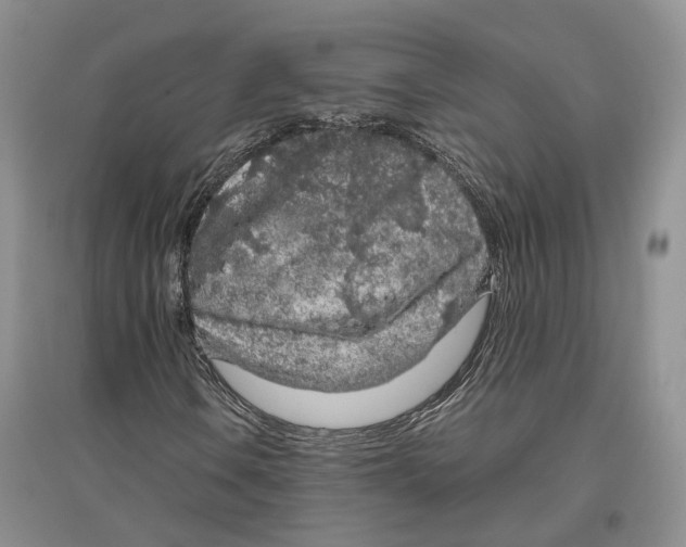 X0000096421106200802211117